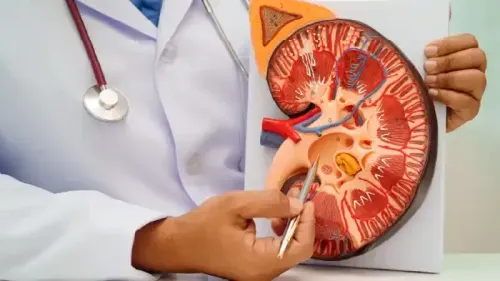 Vasa Recta: Key to Osmotic Balance and Urine Concentration